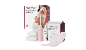 Postpartum Recovery Essentials Kit