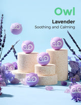 Owl-Shaped Natural Bath Bombs Gift Set(14 Pcs)