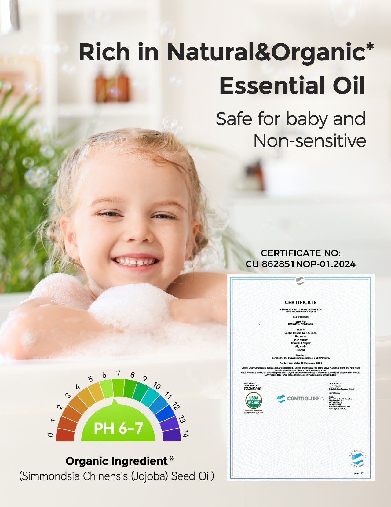 Seal-Shaped Natural Bath Bombs Gift Set (14 Pcs)